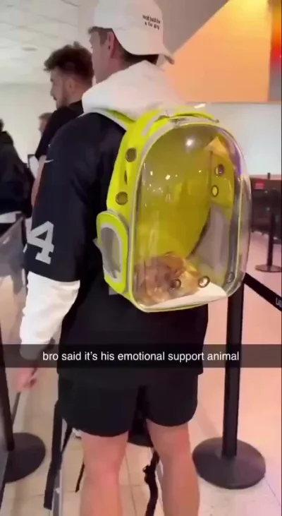 Лайфхак, как пронести на борт самолёта свою еду