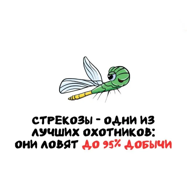 Подборка интересных фактов на все случаи жизни
