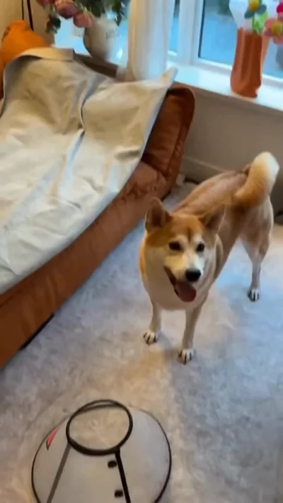 Вот и верь после этого людям...