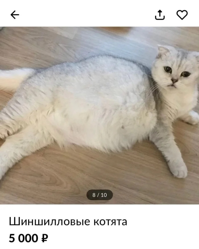 История в 3 картинки