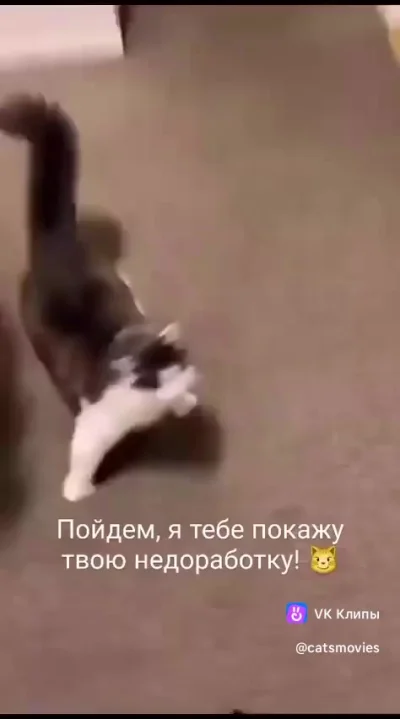 Посмотри что ты натворил