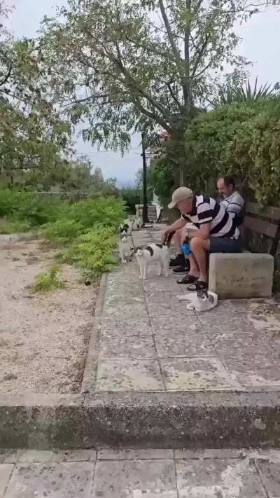 Очередь