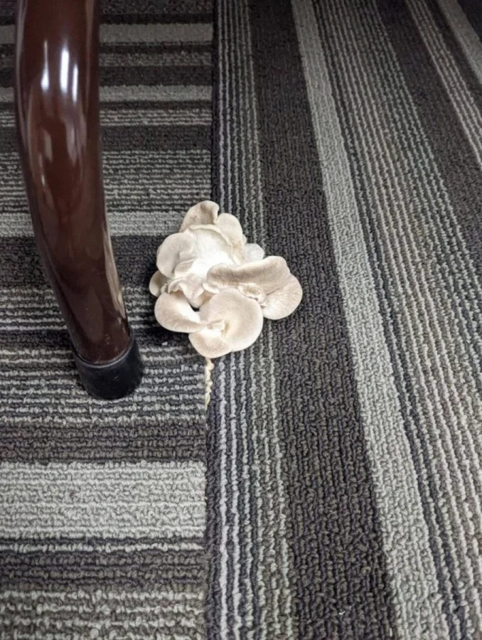 Когда природа показывает свою мощь: 14 поразительных снимков