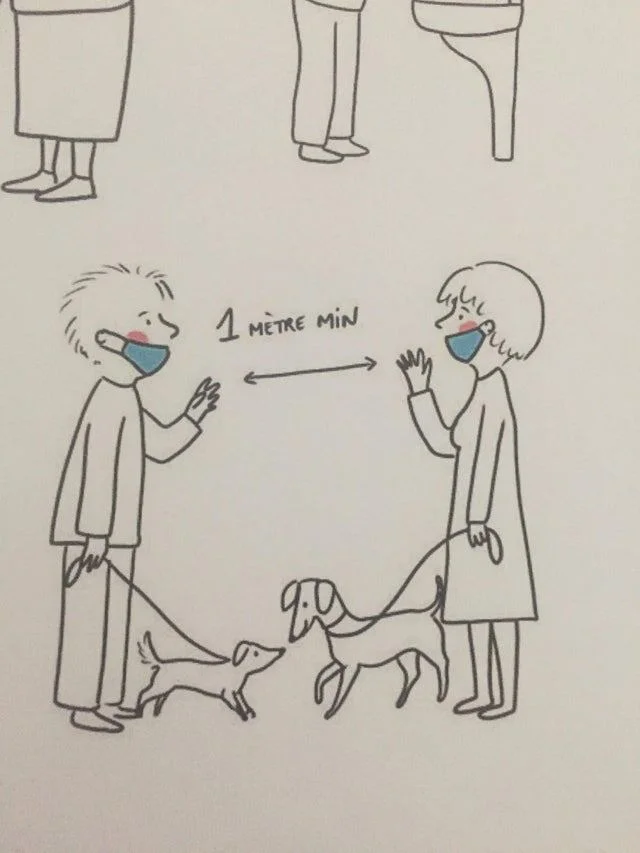 Когда учебники идут не по плану: 16 смешных ошибок в детских книгах