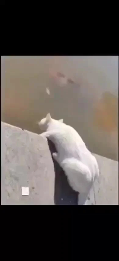 Не мешай пить