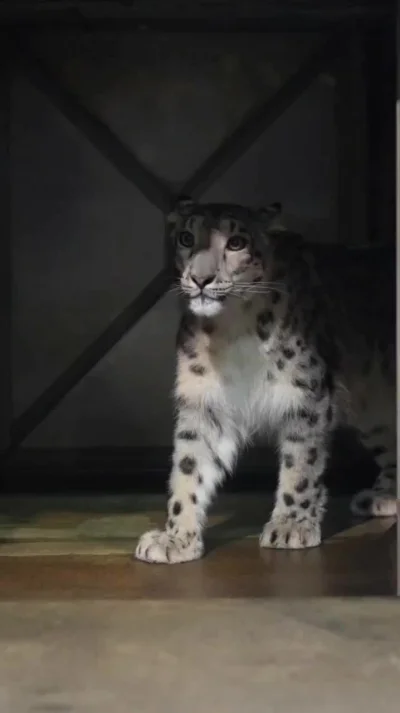 Какое всё интересное!