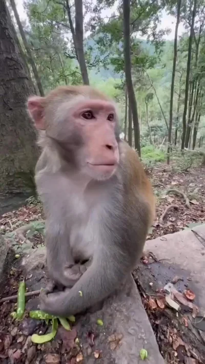 Кого-то мне она напоминает