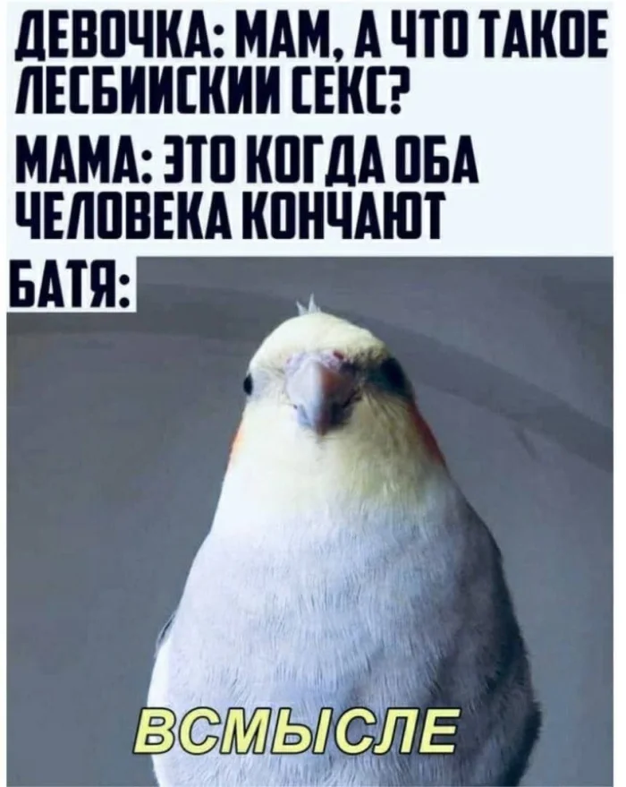 Пошлые мемы и чёрный юмор 18+ | Подборка #40