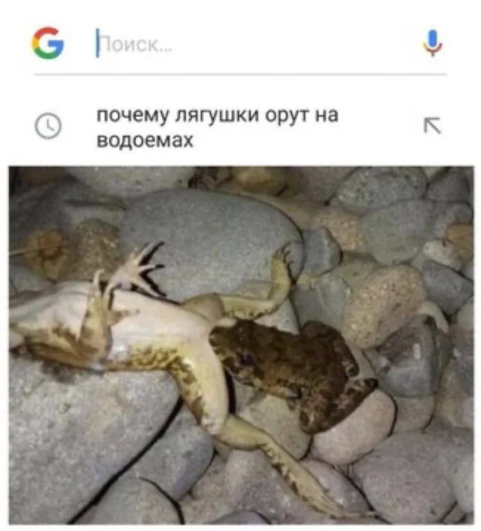 Пошлые мемы и чёрный юмор 18+ | Подборка #54