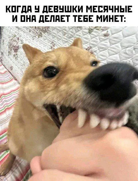 Пошлые мемы и чёрный юмор 18+ | Подборка #7