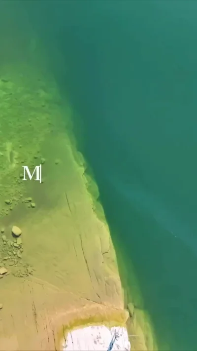 В последний момент передумала