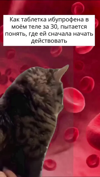 На поле боли