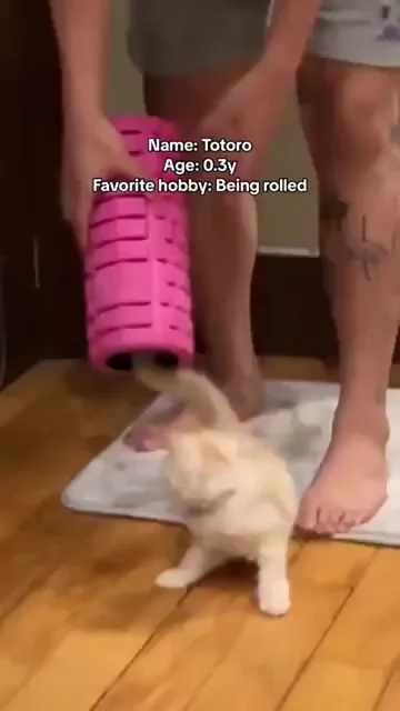 Обожает покатушки