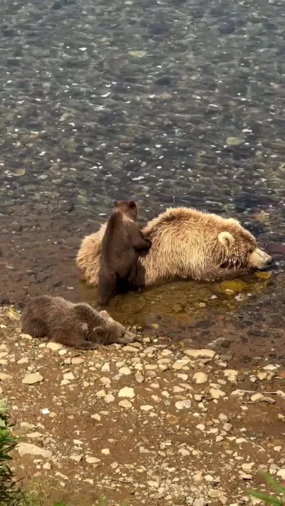 На маме мягче и теплее