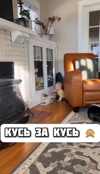 Кусь за кусь