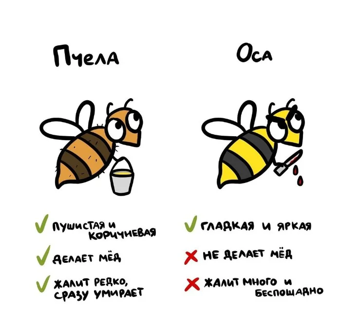 Знай разницу — прикольные картинки, сравнения и различия | #123