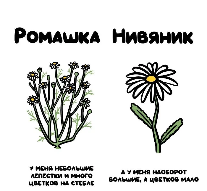 Знай разницу — прикольные картинки, сравнения и различия | #143