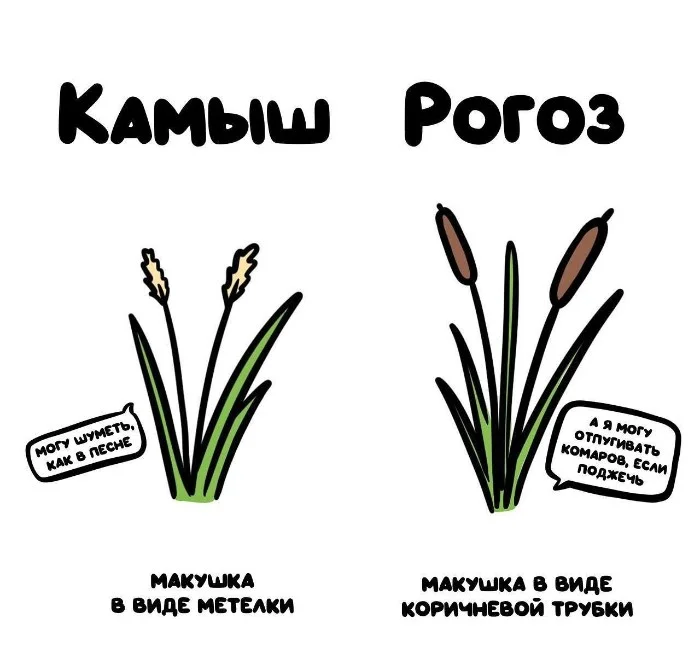 Знай разницу — прикольные картинки, сравнения и различия | #154
