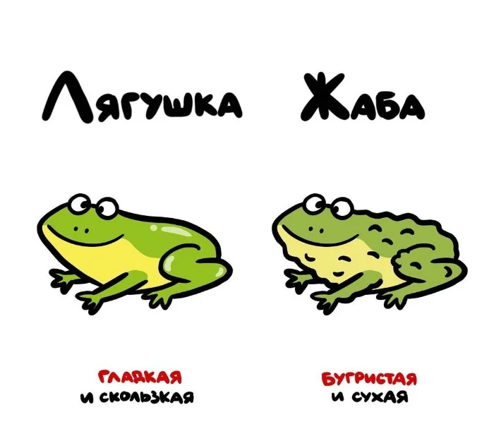 Знай разницу — прикольные картинки, сравнения и различия | #155