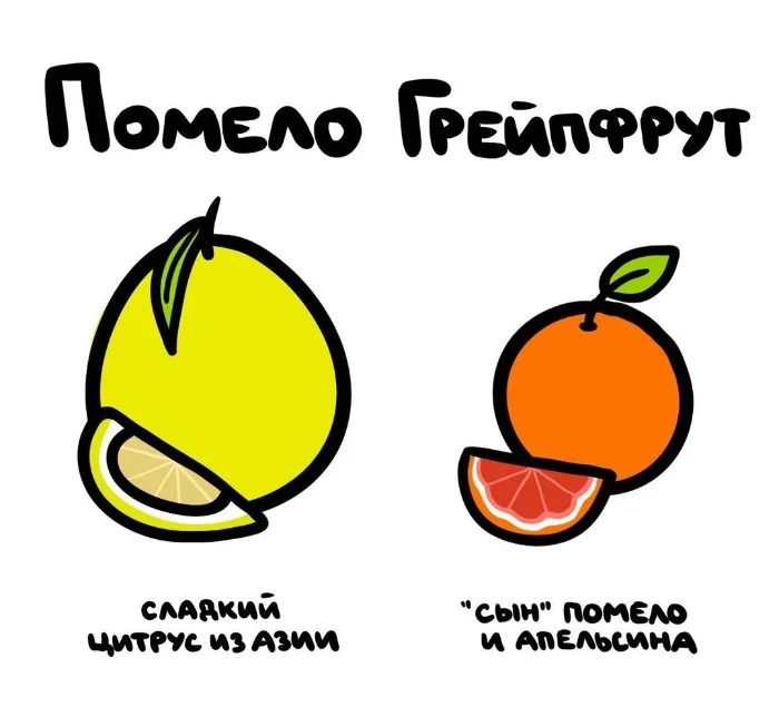 Знай разницу — прикольные картинки, сравнения и различия | #159