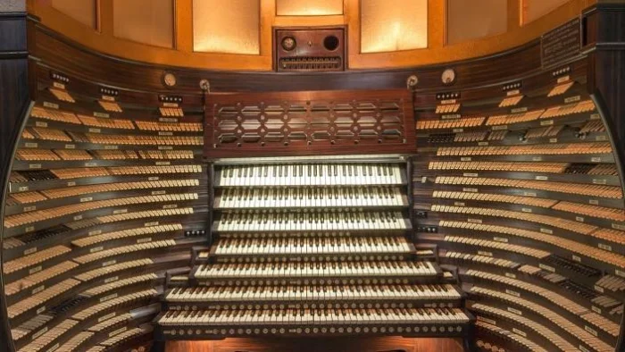 10 неожиданных фактов из разных сфер, помогающих лучше понять мир