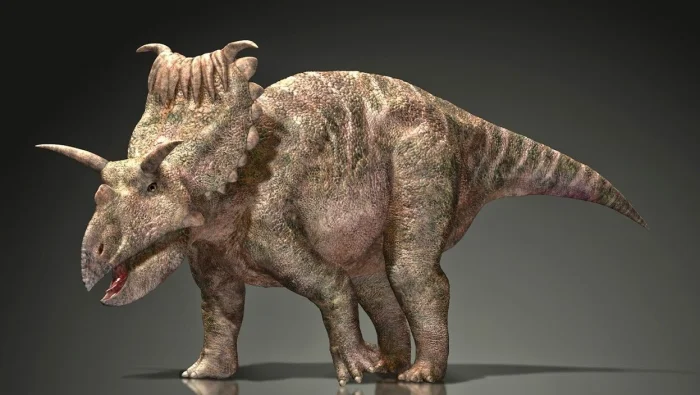 10 поразительных рекордсменов среди животных, о которых мало кто знает