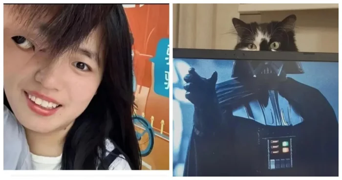 13 удивительных примеров перспективы, которые обманут ваш взгляд