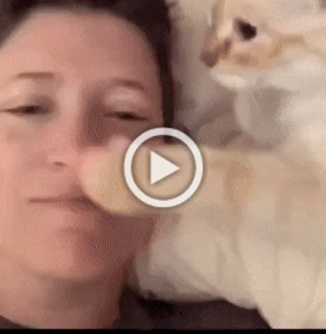 Разнообразные ГИФки #204