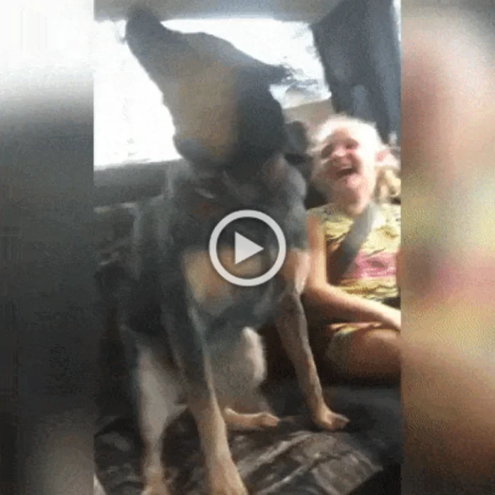 Разнообразные ГИФки #205