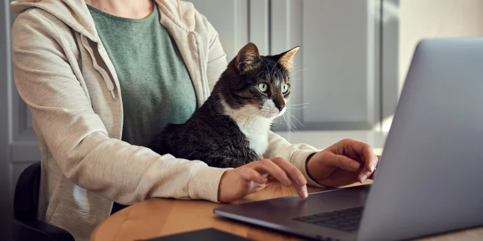 Слив курсов: стоит ли пользоваться и какую пользу можно из этого извлечь