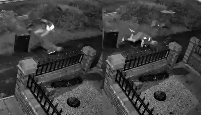 Ночные приключения хрустика и добросердечные прохожие