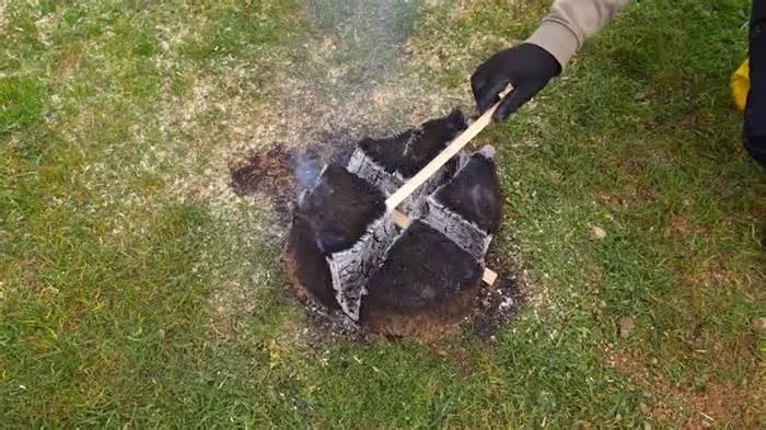 Долгоиграющий костер из пня дерева