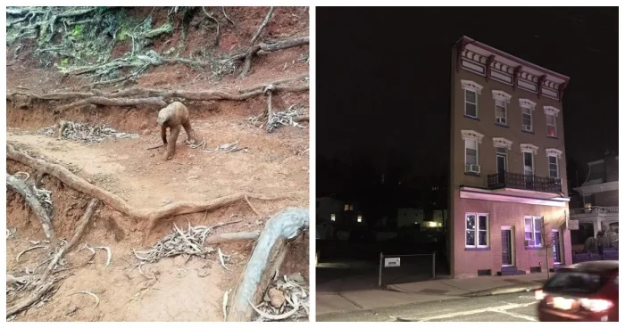 20 оптических иллюзий, доказывающих, что глазам нельзя верить