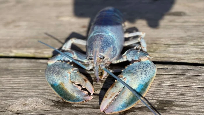 20 редких природных оттенков, которые выглядят почти нереально