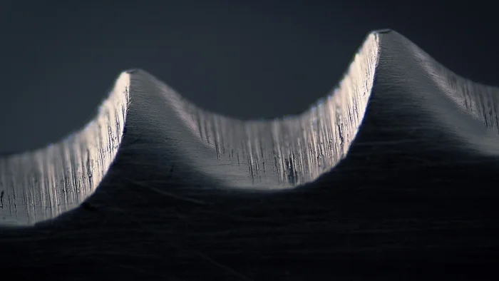 25 удивительных снимков знакомых предметов под микроскопом