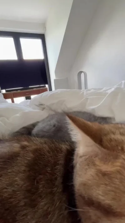 Любофььь и терпение