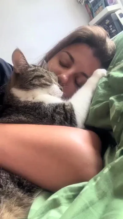 Котоголизм это беда