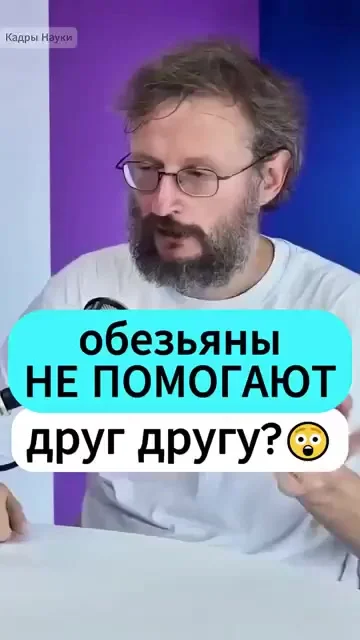 Значит олигархи - это павианы