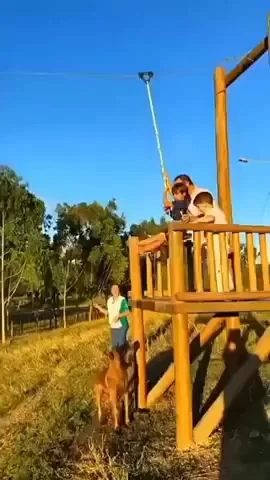 - Спокойная собака! Говорили они