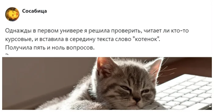 Пасхалки в студенческих работах: как авторы шутят в тексте, уверенные, что никто не дочитает