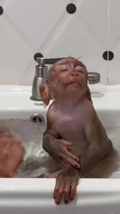 Водные процедуры