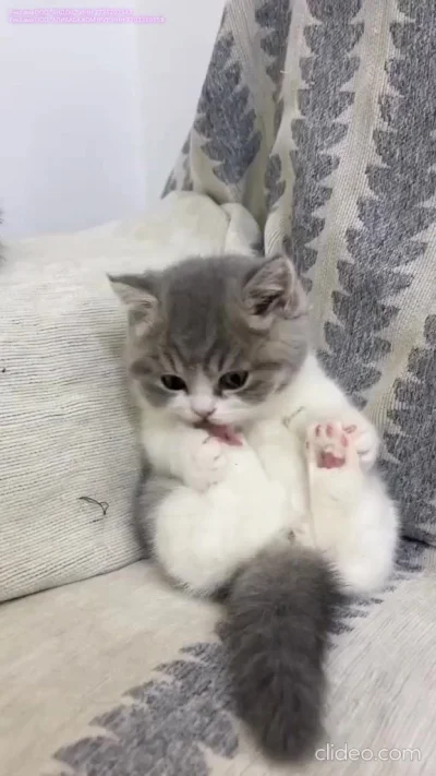 Умываем ножки