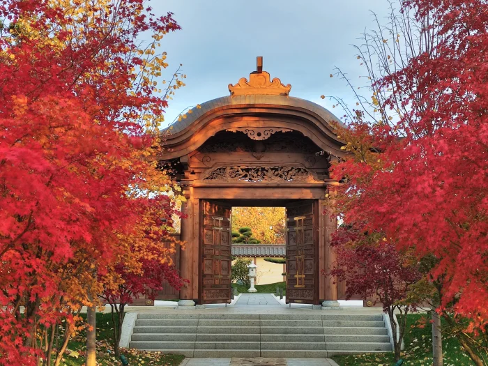 Японский сад парка Краснодар