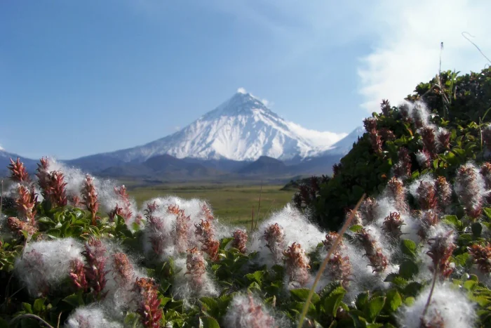 🔥 Ключевская группа вулканов — величие и огонь Камчатки 🌋