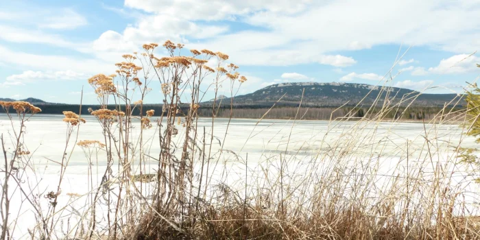 Куда отправиться зимой, чтобы отдохнуть и зарядиться энергией: 5 интересных мест в России для любителей природы.