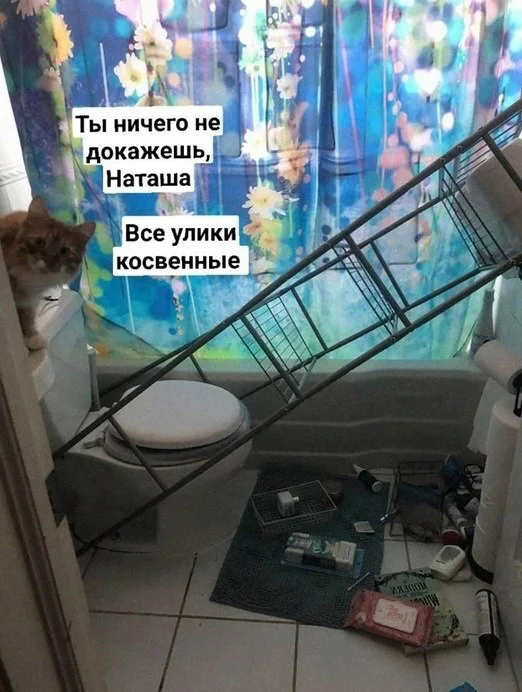 Мемы про котов