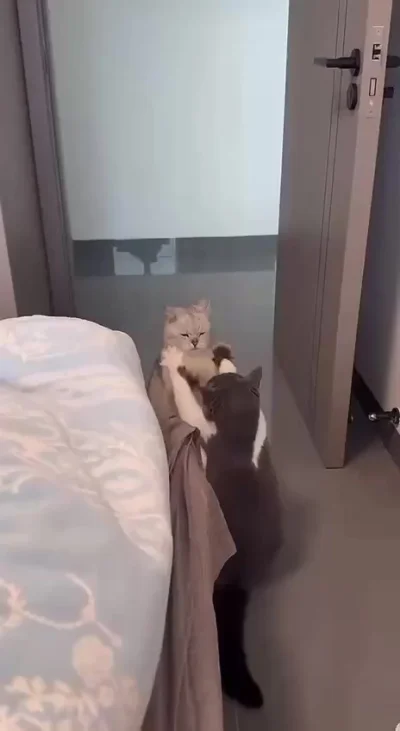 Активный бой!