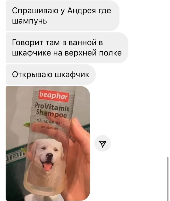 Переписка дня: «Не вижу проблемы, шампунь как шампунь»