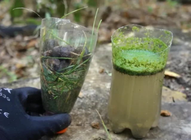 Немного о выживании