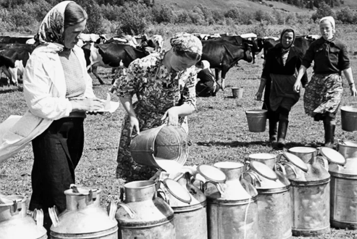 Куда пропал вкус молока из СССР и почему нынешнее ему уступает